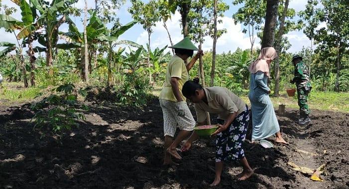 Dorong Ketahanan Pangan, Satgas TMMD Bojonegoro Bantu Tanam Kacang