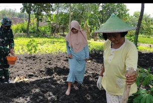 Tanam Kacang, Satgas TMMD Bojonegoro Support Kemajuan Pertanian Petani