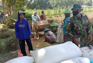 Wujud Kemanunggalan, Ini Yang Dilakukan Satgas TMMD Bojonegoro Kepada Petani