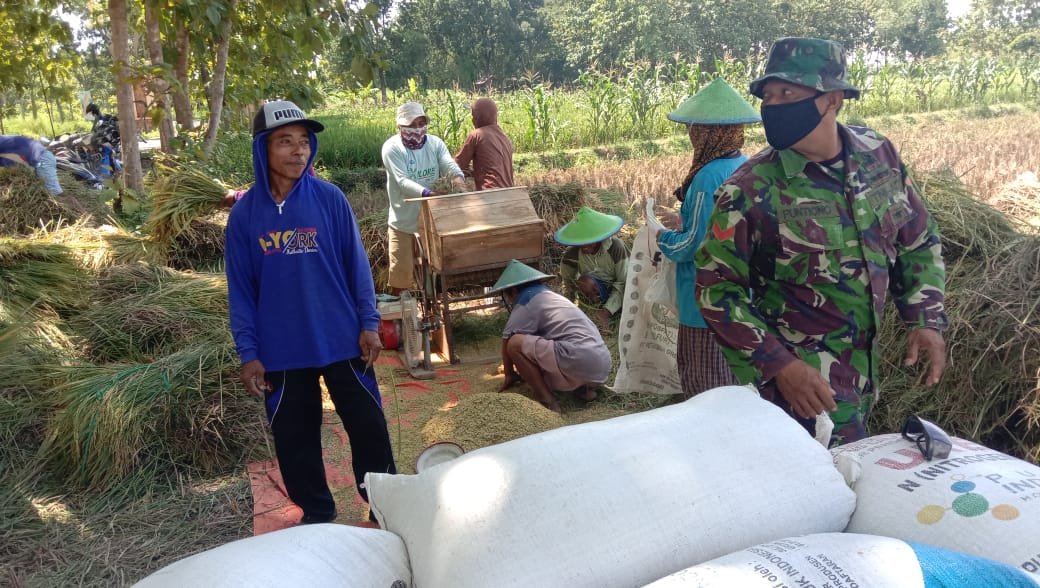 Wujud Kemanunggalan, Ini Yang Dilakukan Satgas TMMD Bojonegoro Kepada Petani