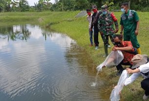 Bersama Satgas TMMD, Disnakan Bojonegoro Tebar Benih Ikan Di Jatimulyo