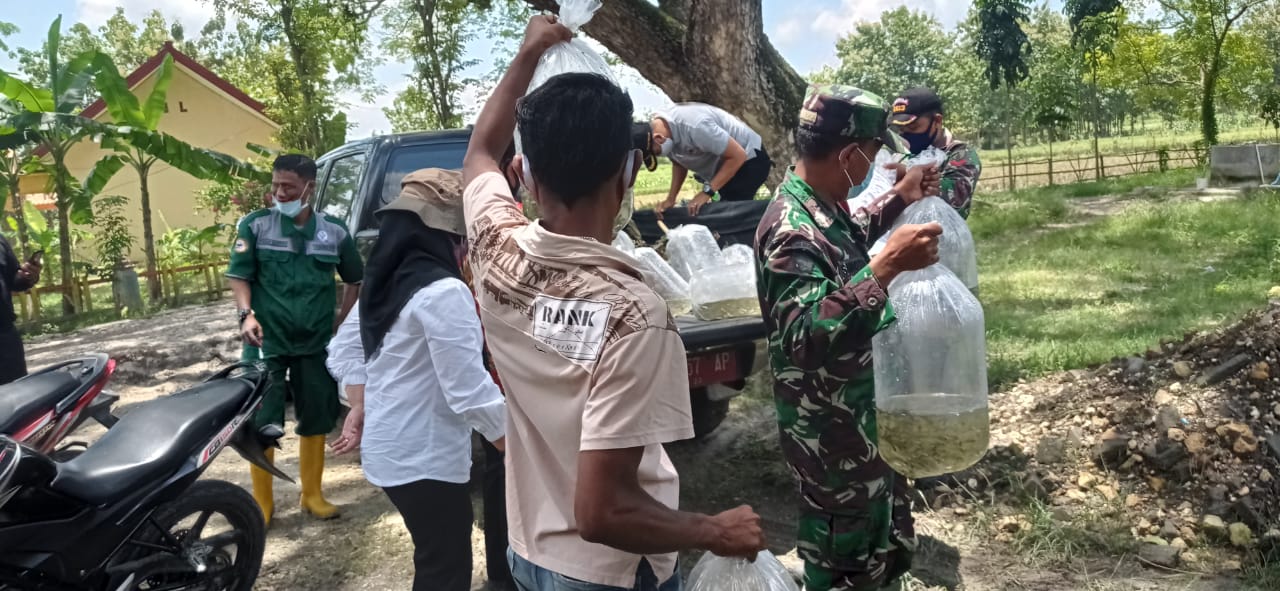 Benih Ikan Lokal Akan Ditabur Disnakan Bojonegoro Dilokasi TMMD Tambakrejo