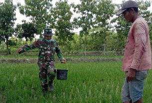 Satgas TMMD 110 Bojonegoro Berikan Komsos Petani Jatimulyo