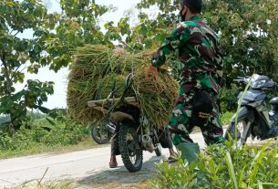 Bantu Warga Naikkan Jerami, Satgas TMMD 110 Bojonegoro Peduli