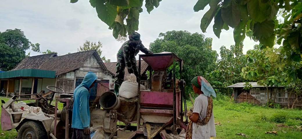 Satgas TMMD 110 Bojonegoro Bantu Mbah Rumilah Bawa Sisa Hasil Panen