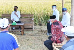 Presiden Tinjau Panen, Tanam, dan Penggilingan Padi di Kabupaten Malang