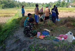 Warga Minta Anggota Satgas TMMD 110 Bojonegoro Makan Bareng Di Sawah