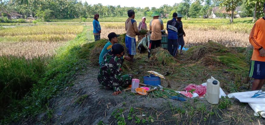 Warga Minta Anggota Satgas TMMD 110 Bojonegoro Makan Bareng Di Sawah