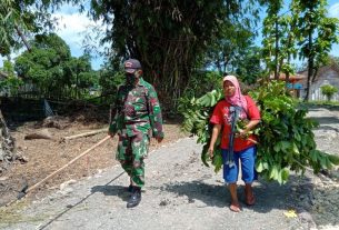 Anggota Satgas TMMD 110 Bojonegoro Bantu Cari Bahan Makanan Ternak