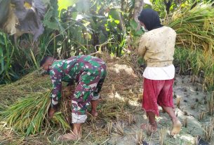 Banyak Terbantu, Warga Rasakan Manfaat TMMD 110 Bojonegoro