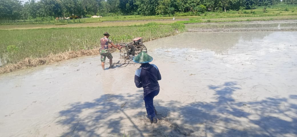 Pendampingan Satgas TMMD 110 Bojonegoro, Bantu Petani Bajak Sawah Pakai Traktor