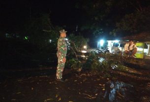 Aksi Gerak Cepat Babinsa Kodim 0429/Lamtim Bantu Warga Terdampak Puting Beliung