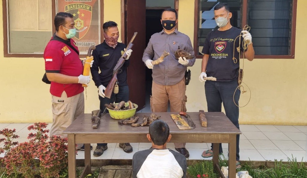 Tim Gabungan Polres Tanggamus dan Polhut Tangkap Tersangka Perburuan Hewan Dilindungi