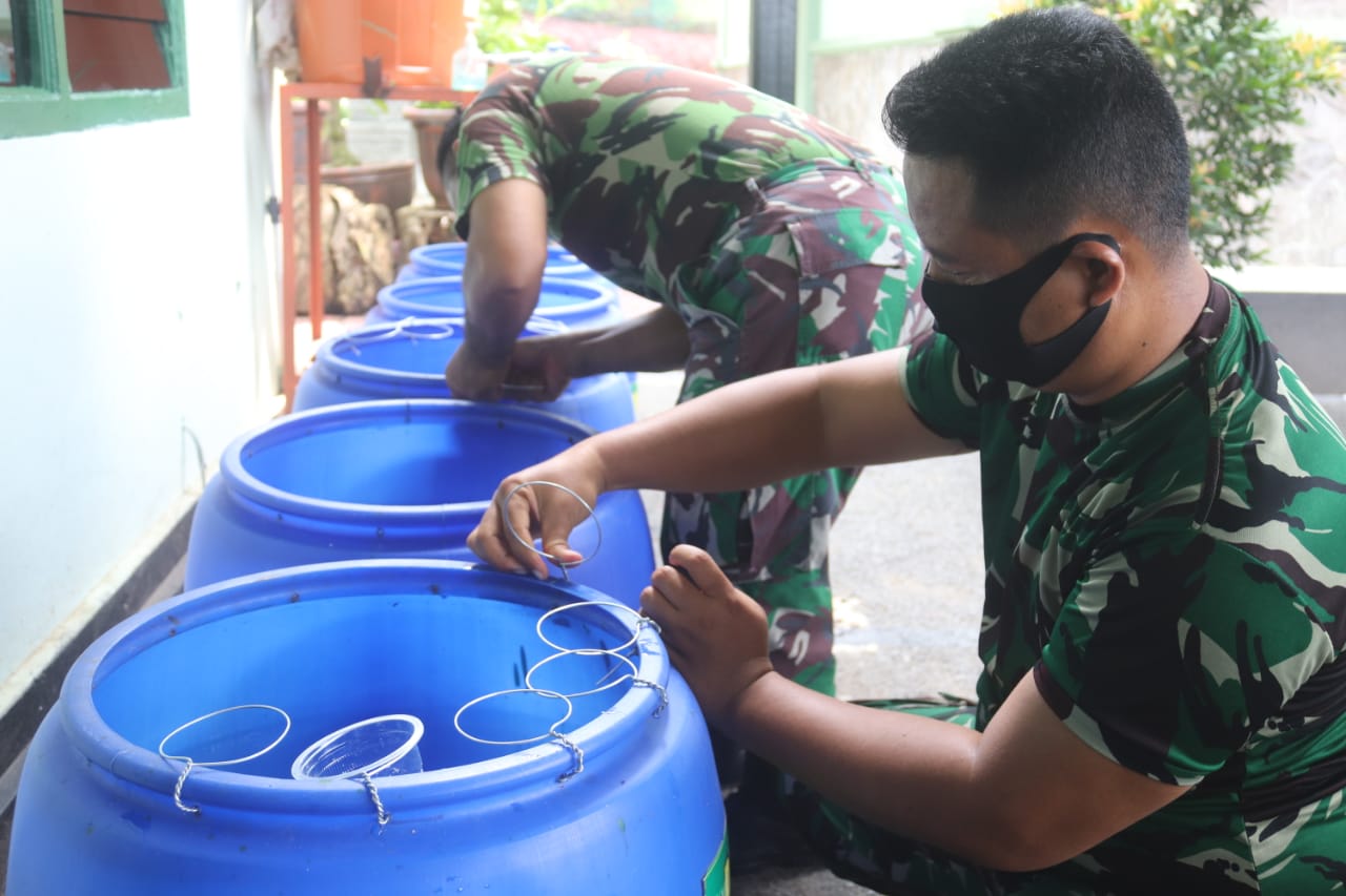 Program Ketahanan Pangan Budidaya Ikan Dalam Ember   