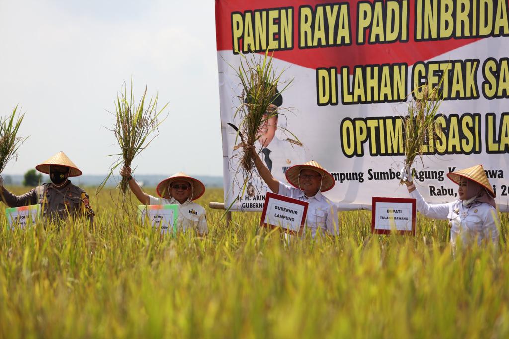 Launching Implementasi Kartu Petani Berjaya Gubernur Arinal Berharap Petani Dapatkan Kemudahan