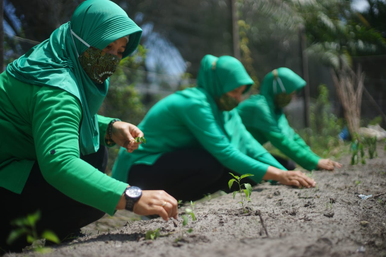 Program Ketahanan Pangan Jadi Langkah Tepat Jaga Ketahanan Pangan