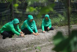 Persit KCK Cabang X Rindam PD XII/Tpr Tingkatkan Kreativitas Melalui Bercocok Tanam