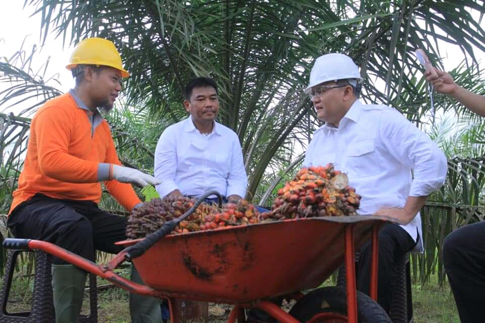 BPDP-KS Abadikan Keberhasilan Joko Widodo- Dodi Reza