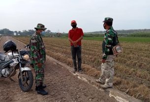 Babinsa Dan Kepala Desa Tamansari, Setiap Hari Turun Kelapangan Cek Perkembangan Pengerjaan Jalan