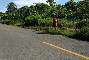 Babinsa Lakukan Pembabatan Rumput di Pinggiran Jalan Lokasi TMMD