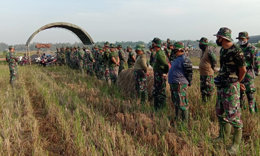 Bagi TNI Semua Bisa, Apel Di Tengah Sawah juga Bisa