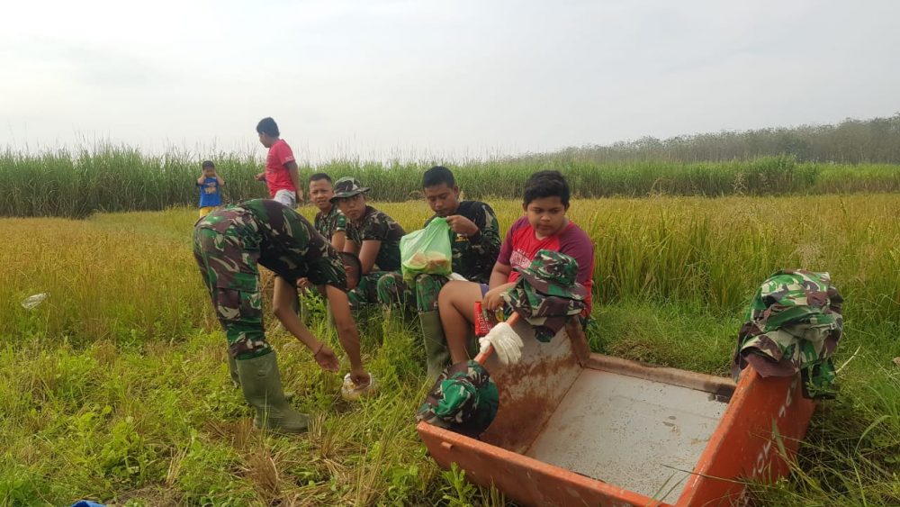 Bakisting Dalam Betonisasi Jalan Perlu Diperhatikan Kualitasnya