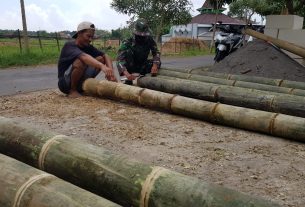 Bambu Petung Andalan Warga Desa Tamansari