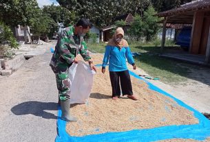 Bantu Warga Menjemur Padi, Anggota Satgas TMMD 111 Bentangkan Terpal Biru Di Depan Rumah