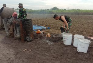 Campuran Koral Sangat di Utamakan dalam Pengecoran Jalan