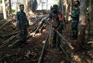 Harapan Sukijan Pemilik Pohon Siwalan Desa Tamansari Jaken