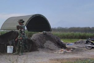Bersihkan Lahan dari Rumput Liar Biar Hasilnya Panjang Dan Gede