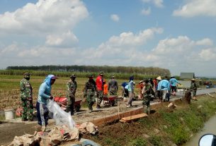 Jalan Tol Ditengah Sawah Penghubung Antar Desa