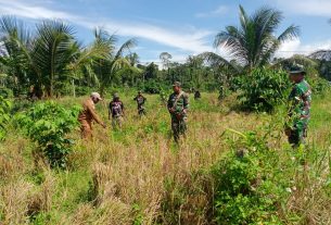 Kepala Distrik Pantai Timur Ukur Lokasi Lahan Sasaran