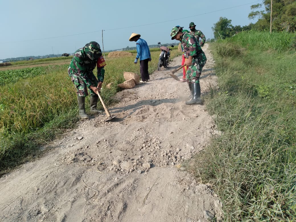 Material Tanah Urugan Terus Didroping Oleh Truck Pengangkut