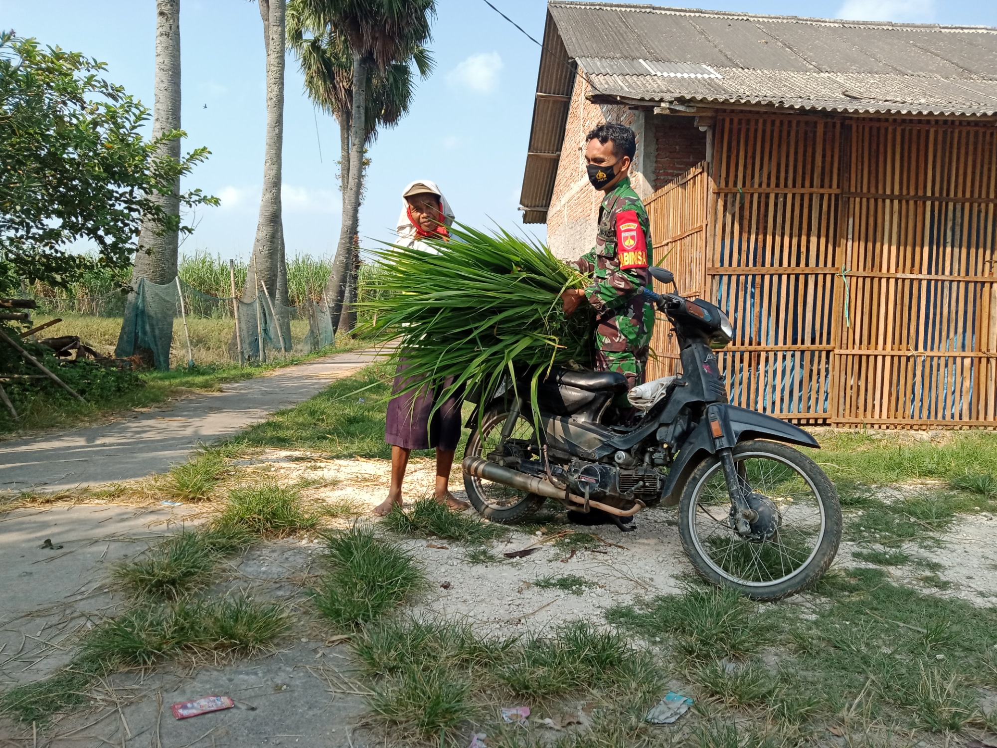 Mencari Rumput Pakan Ternak Adalah Rutinitas Warga Tamansari