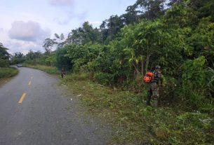 Pembabatan Rumput Pinggir Jalan Dilakukan dengan Trengginas