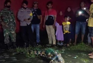 Polsek Kota Agung Bersama Koramil dan TNI AL Datangi Lokasi Penangkapan Buaya Muara Way Gelang