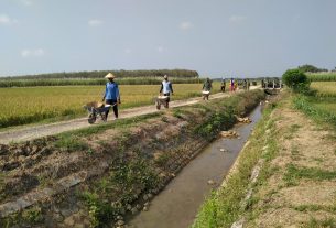 Pra TMMD Ke 111 Kodim Pati Di Desa Tamansari, TNI dan Warga Menutup Lubang Disepanjang Jalan