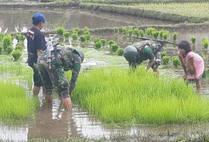 Rindam XII/Tpr Beri Pelatihan Satgas Apter