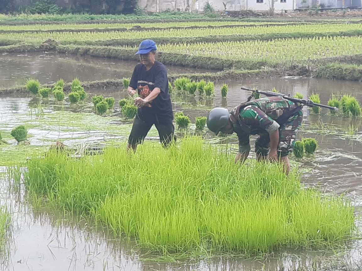 Satgas Apter Sukseskan Program Ketahanan Pangan