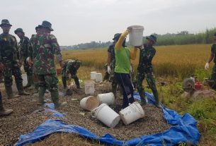 Satgas TMMD 111 Pati Fokuskan Pekerjaan Pengecoran Jalan Betonisasi