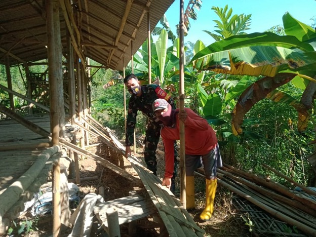 Satgas TMMD Manfaatkan Waktu Senggang Untuk Belajar Ternak Kambing