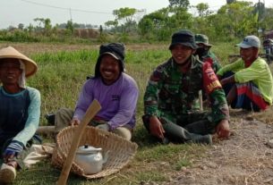 Senyum Mengembang Anggota Satgas TMMD Dan Warga Ditengah Terik Matahari