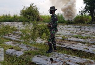 Serda Sukarji Rombak Tanaman Cabai Warga