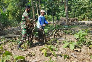 TNI Ringankan Warga Bantu Kumpulkan Kayu Bakar