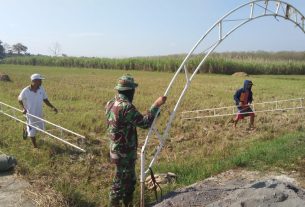 Tenda Tambahan di Pasang Untuk Istirahat Satuan Penugasan TMMD