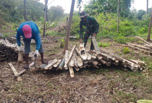 Terjalinnya Keakraban, TNI Bantu Warga Membuat Lanjaran Pare