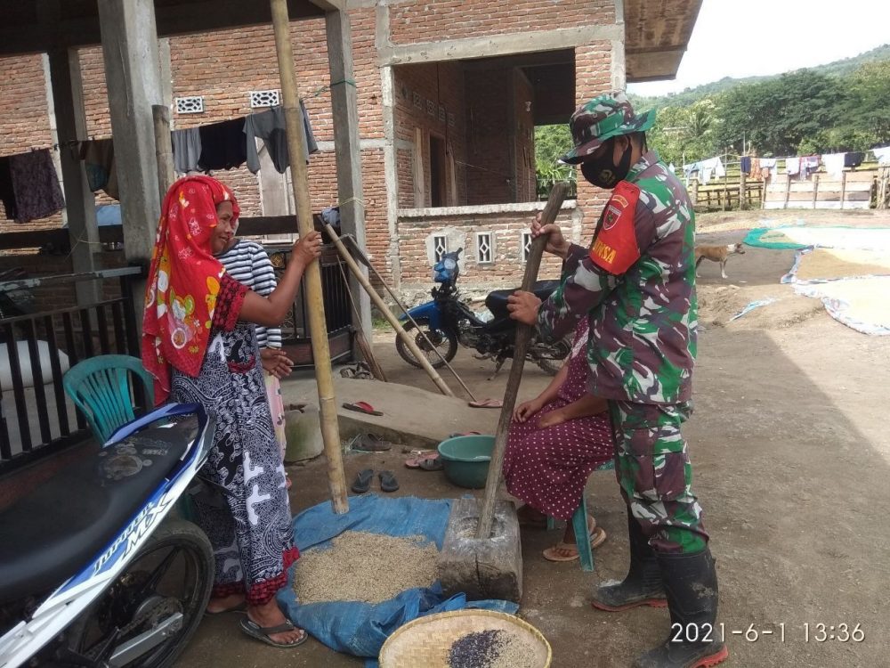 Unik Cara Komunikasi Sosial Satgas TMMD Kodim 1407 Bone, Membantu Warga Menumbuk Padi
