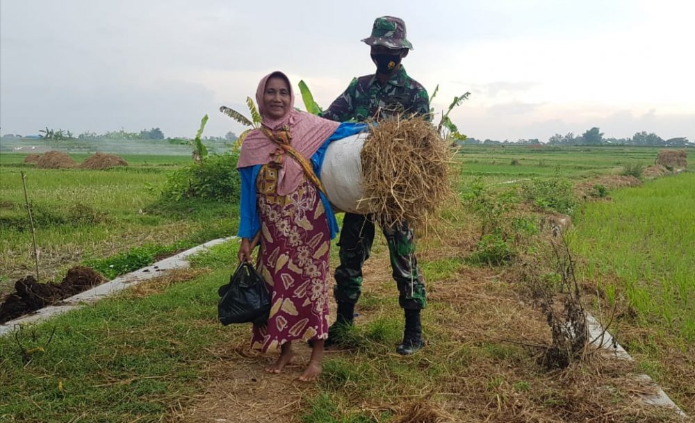 Wartini Wanita Paruh Baya Masih Aktif Kerja Di Sawah