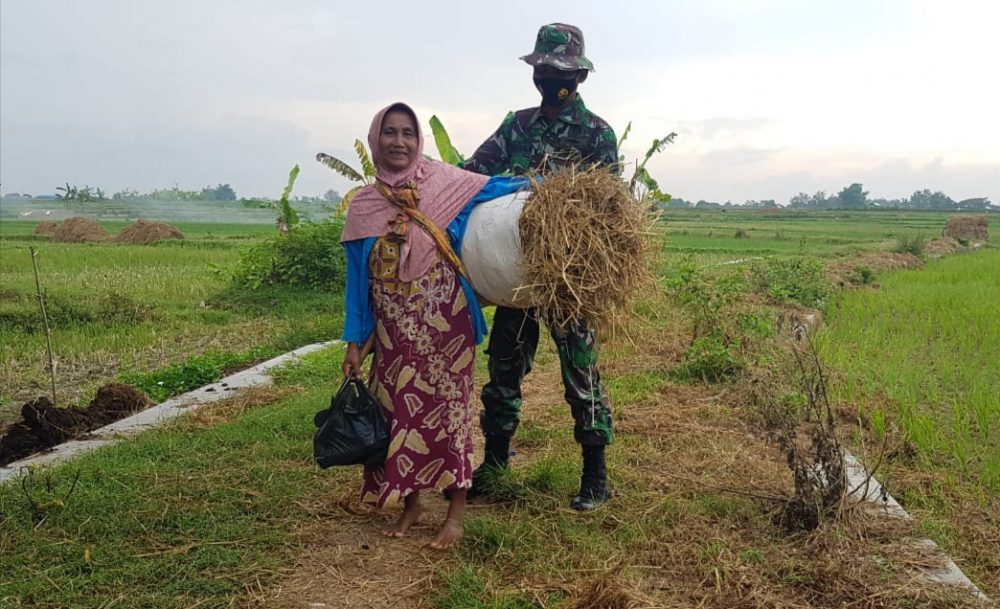 Wartini Wanita Paruh Baya Masih Aktif Kerja Di Sawah